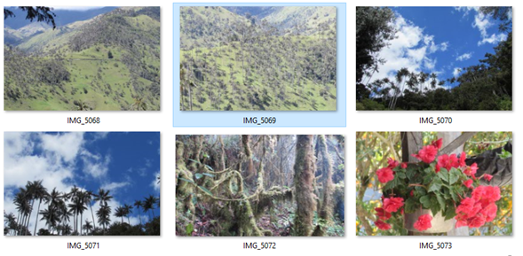 quindio
